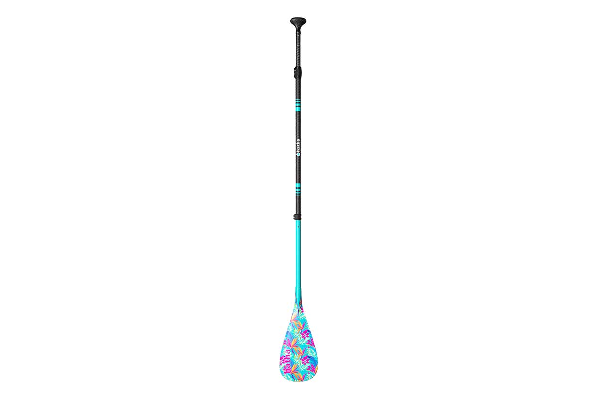 Geo - Paddle