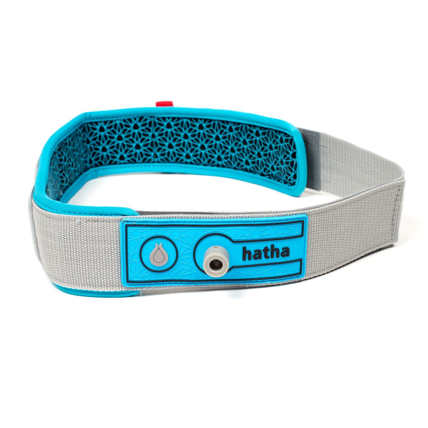 QR Quick release padded non-slip leash waist belt - one size