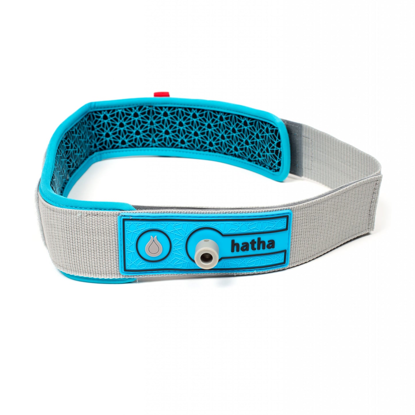 QR Quick release padded non-slip leash waist belt - one size