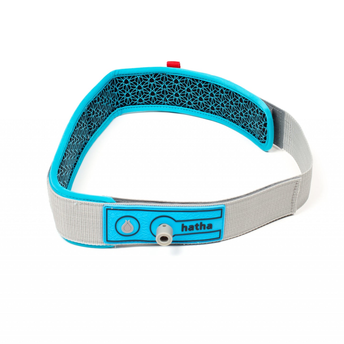 QR Quick release padded non-slip leash waist belt - one size