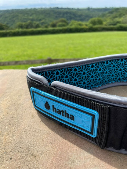 Quick release padded non-slip leash waist belt (non coil/cord)