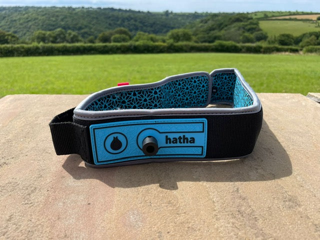 Quick release padded non-slip leash waist belt (non coil/cord)