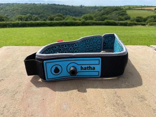 Quick release padded non-slip leash waist belt (non coil/cord)